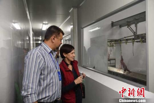 中俄兔业合作交流圆桌会议 促进兔业大发展