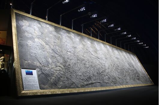 宝藏“一带一路”博物馆 开启赏石文化新里程