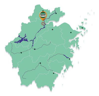 杭州：架起网上新丝路