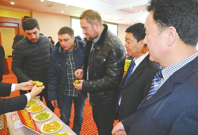 周至4000吨猕猴桃将销往俄罗斯