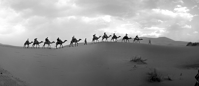 下一步，商务部将继续与“一带一路”沿线相关各国加强沟通、集思广益，各尽所能、各施所长，共同推动实施一批重大合作项目，深化经贸合作，全面提升各领域合作水平，让合作成果更好地惠及沿线各国人民。