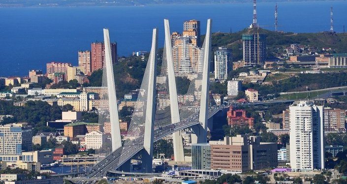 符拉迪沃斯托克或将成为俄罗斯退税政策试点地区